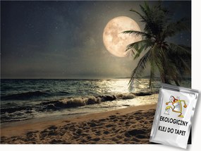 Fotótapéta Flizelina Éjszaka Tengerpart Óceán Pálmafák Telihold 100x75 ragasztó