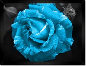 Poszter keretben 40x30 Türkiz rózsa Virág