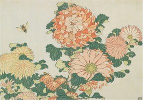 Tapéta Flizelin Falfestmény Prémium Krizantém Virágok 208x146 Ragasztó