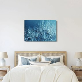Kép - Harmatcseppek (90x60 cm)