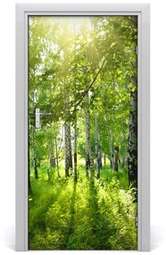 Poszter tapéta ajtóra nyírfa erdő 95x205 cm