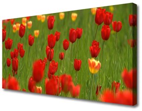 Vászonkép üzem tulipán 100x50 cm