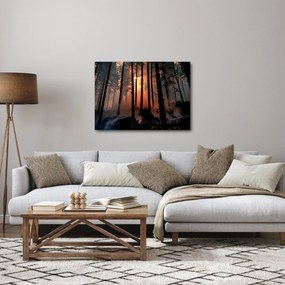 Sötét erdő képe (70x50 cm)