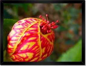 Poszterek keretben 40x30 Nőnap Ajándék Love