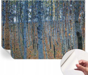 Dekoratív öntapadós fotótapéta Hálószobába Nyírerdő 208x146 cm