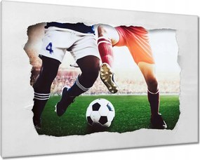Vászonkép 90x60 Labdarúgók Labdarúgás Ág Dugók