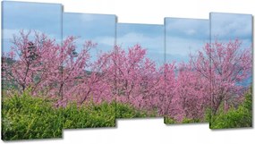 Vászonkép 150x80 Virágzó cseresznye