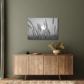Üveg kép - Mező naplementében (70x50 cm)
