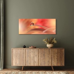Virágos harmatcsepp képe (120x50 cm)
