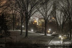 Poszter 60x40cm Central Park éjszaka, Assaf Frank