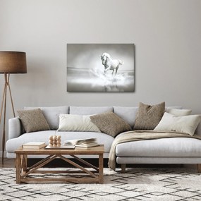 Kép - Fehér ló (70x50 cm)