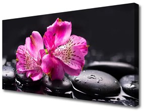 Vászonkép Virágok kövek Zen Spa 100x50 cm
