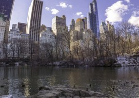 Poszter 29,7x21cm Alsó-Manhattan panoráma a Central Parkból, Assaf Frank