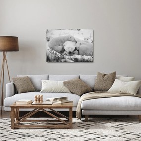 Üveg kép - Jegesmedvék (70x50 cm)
