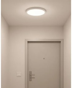 LED mennyezeti lámpa LED/24W/230V 3000/4000/6500K átm. 30 cm, fehér