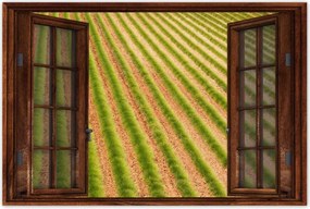 Poszterek 90x60 Zöld Provence