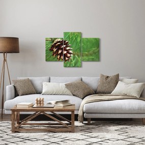 Fenyőtoboz képe (90x60 cm)