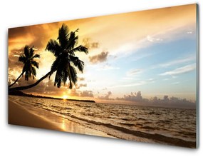 Akrilkép Palm Trees Beach Landscape 125x50 cm