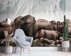 Gario Fotótapéta Elefántok egy csordában Anyag: Vlies, Méret: 150 x 105 cm