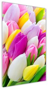 Egyedi üvegkép Színes tulipán osv-104468261