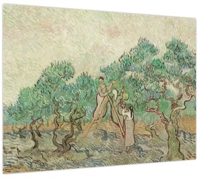 Kép - Vincent van Gogh, The Olive Orchard, reprodukciók (70x50 cm)