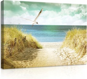 Vászonkép 70x50 Tengeri táj tengerpart sirály dűnék tenger nyár természet nyugalom