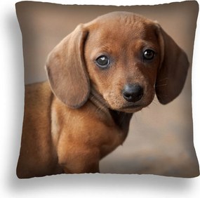 Kutya Párna 07 Barna Kiskutya Párnahuzat Pl 40X40