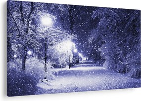 Kép - varázslatos téli éjszaka (90x60 cm)