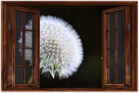 Poszterek 60x40 Pitypang Virág Virágok