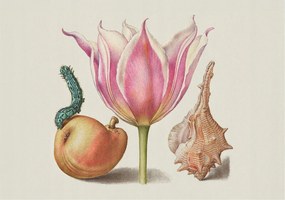 Tapéta Flizelin Falfestmény Prémium Természetes szimbiózis 208x146 Ragasztó