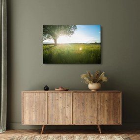 Nyári rét képe (90x60 cm)