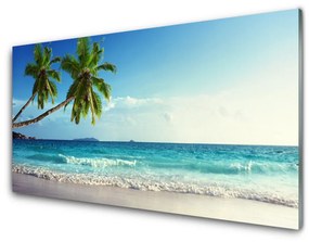 Üvegkép Seaside Palm Beach Landscape 120x60cm 2 fogas