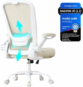 Ergonomikus irodai szék zabpehely-bézs színben