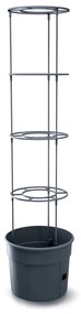 PROSPERPLAST Paradicsom ültető TOMATO GROWER antracit 29,5cm (max. magasság: 115,2cm) Méret: L