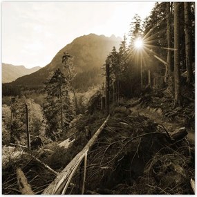 Poszterek 70x70 Szépia tájkép Szépia