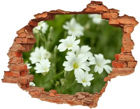 3d fali matrica lyuk a falban Tavaszi virágok nd-c-112767766