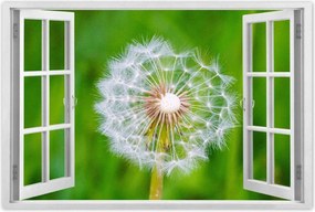 Poszterek 60x40 Pitypang Virág Virágok