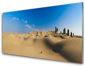 Modern üvegkép Fekvő sivatagi homok 125x50 cm