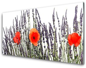 Modern üvegkép Pipacsok Grass Field 100x50 cm