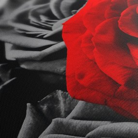 Kép - Rózsák (120x50 cm)