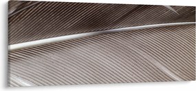Absztrakt kép szálak (120x50 cm)