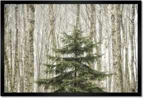 Poszterek keretben 60x40 Fa Kilátás