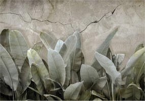 Fotótapéta Banánlevél Zöld Beton Növények Természet 368x254