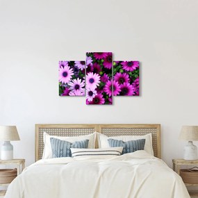 Kép - Virágok (90x60 cm)