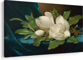 Kép - Martin Johnson Heade, Giant Magnolias on a Blue Velvet Cloth, reprodukciók (90x60 cm)