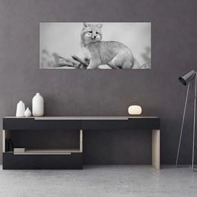 Kép - Szürke róka (120x50 cm)