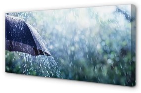 Canvas képek Esernyő eső esik 100x50 cm