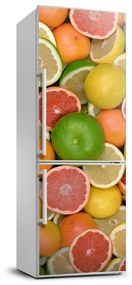 Hűtőre ragasztható matrica Citrusfélék FridgeStick-70x190-f-75213206