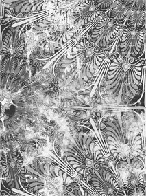 Fotótapéta flizelina Geometrikus csipke virág elegancia 184x254 +ragasztó