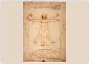 Poszterek 70x50 Vitruvius ember